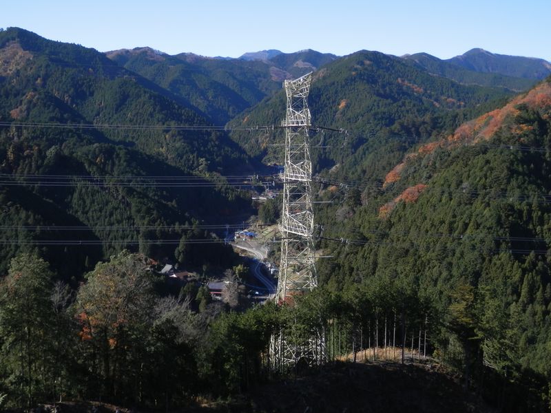 棒ノ折山と都県境尾根。中央遠方に川苔山。下は成木街道