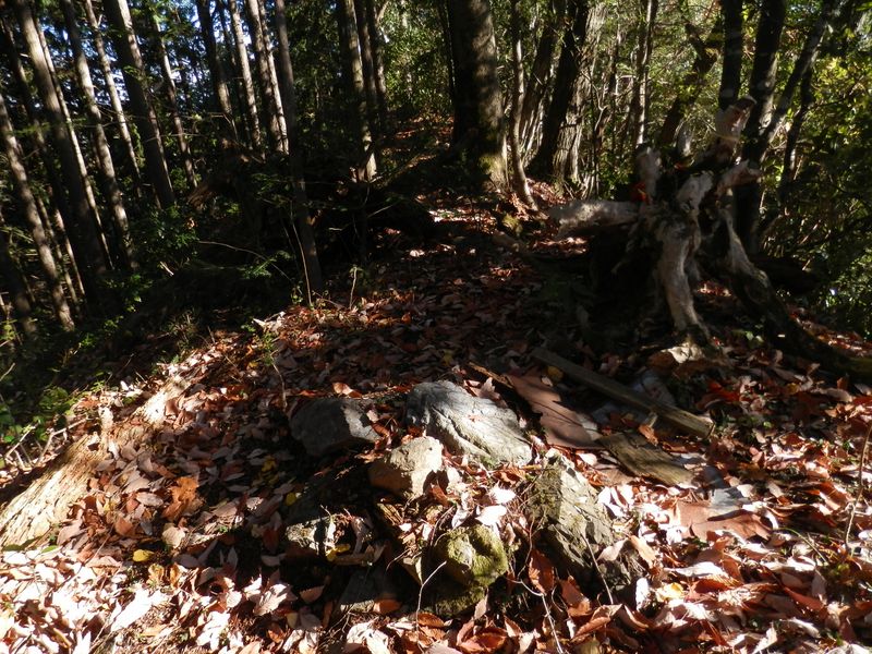 祠の残骸（420m台の峰）