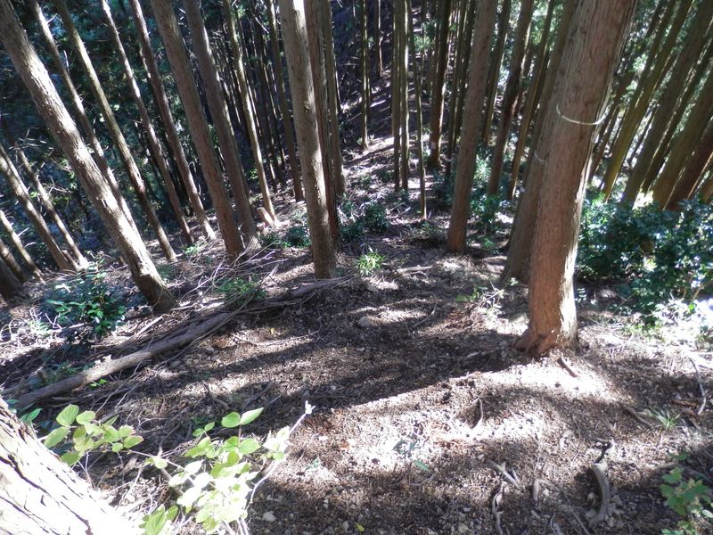 これより急降下