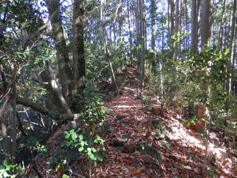 ノボリオイゾネ -- やせ尾根を歩く