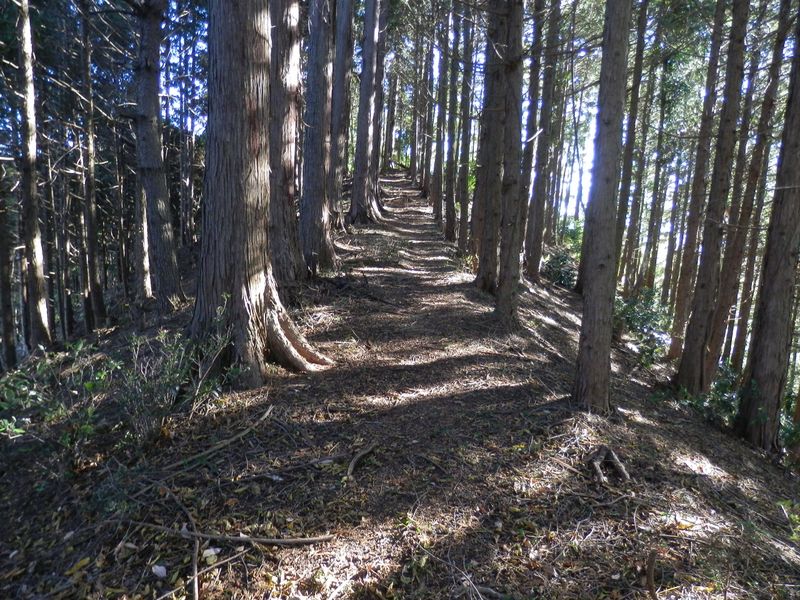ノボリオイゾネ -- 夕倉山への登り