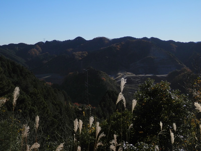 372m峰送電鉄塔より、南に青梅丘陵ハイキングコース尾根を望む