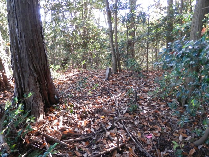 ここが319m峰だろうか？うーむ