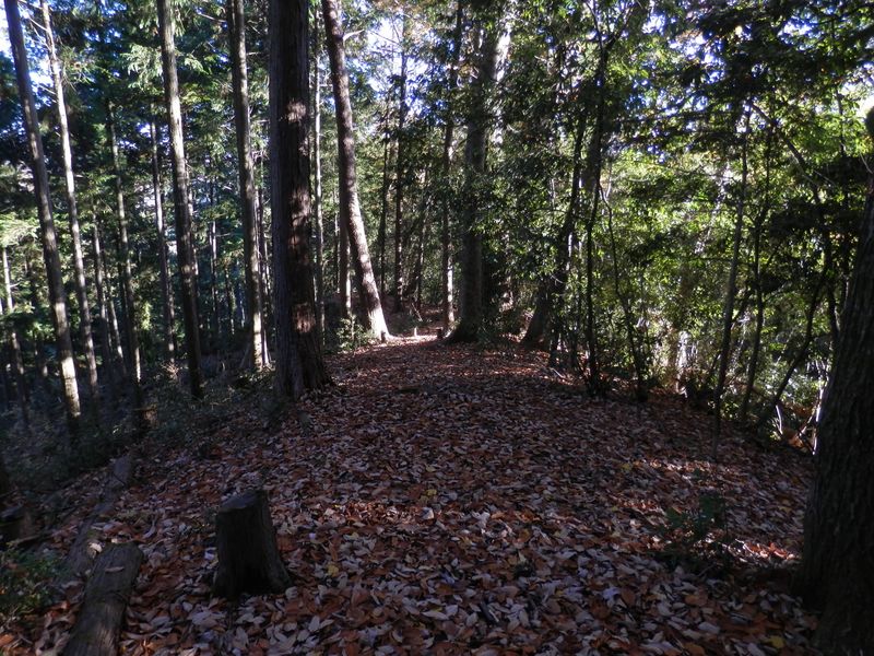 急降下が終わって一息つく