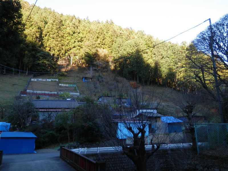 赤仁田橋より、ノボリオイゾネの一支尾根を望む