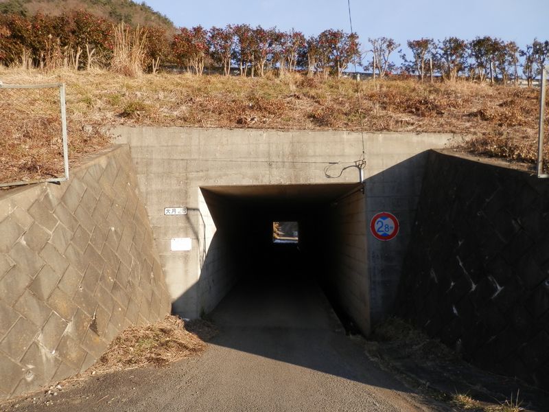 中央自動車道をくぐる