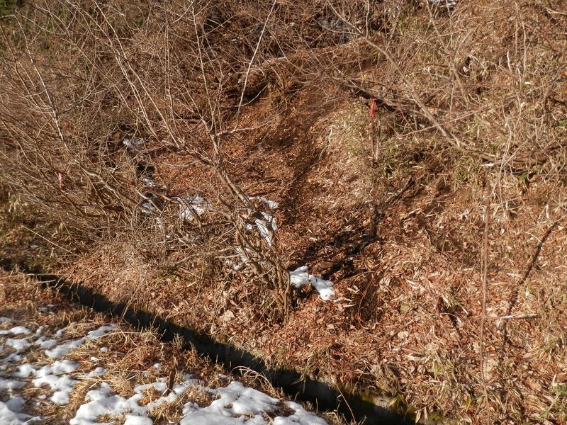 赤い布があったので、ここから取り付いてみた