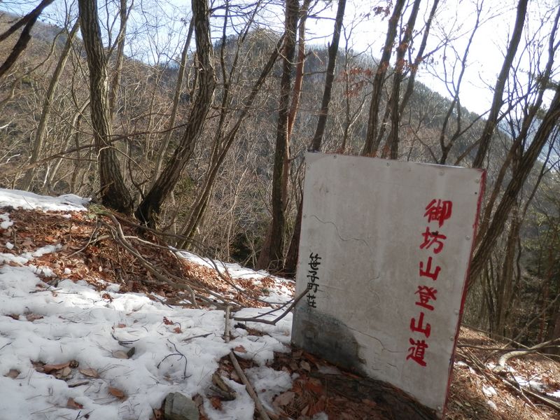 この辺りから傾斜が緩やかになる