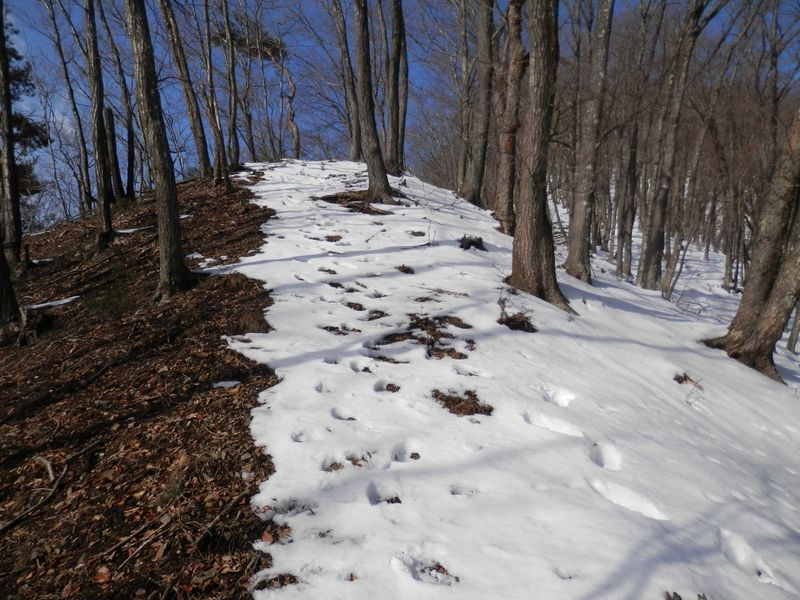 行く手の空が真っ青になった