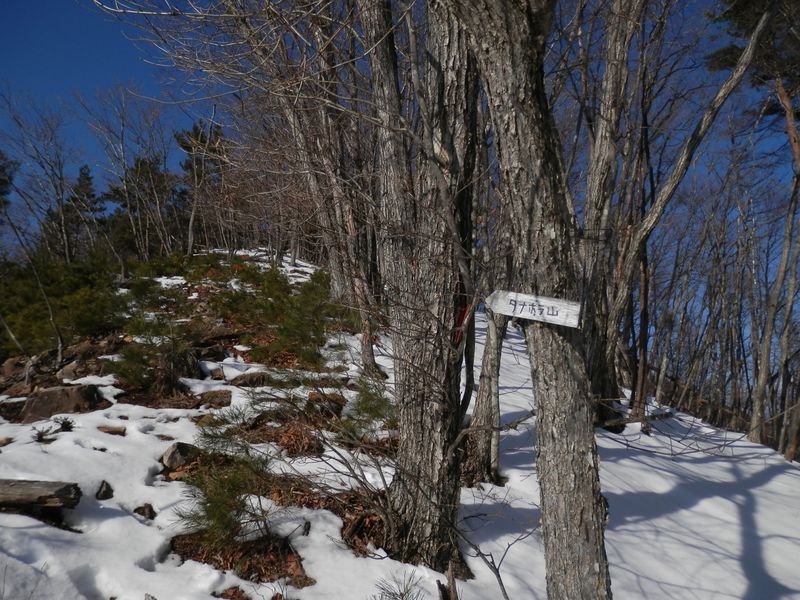 棚洞山へは、尾根の中心をひたすら登り続ける