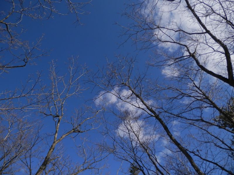 棚洞山の青い空を眺めながら