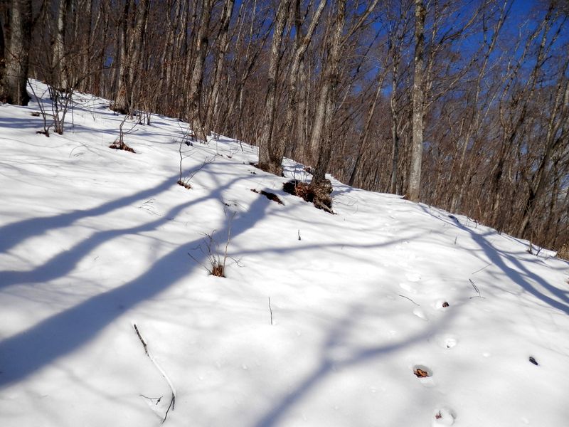 ふくらはぎに疲労を感じるが、がまんの登りを続ける