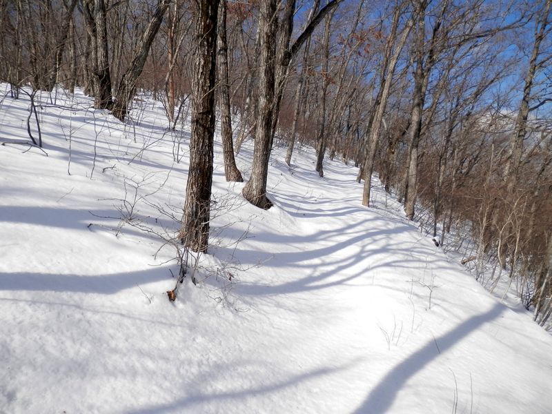幅広の尾根いっぱいにジグザグを切って登る
