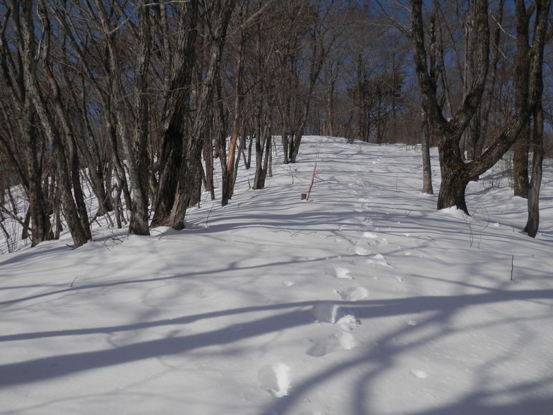 東峰まであと150m
