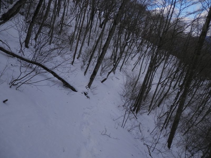 東峰と西峰との鞍部より、大鹿峠を目指す