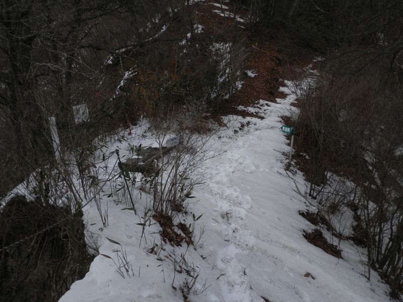 大鹿峠が見えた
