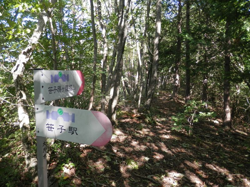 ここから主尾根を歩く