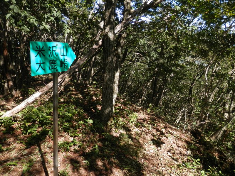 次の米沢山に向かう