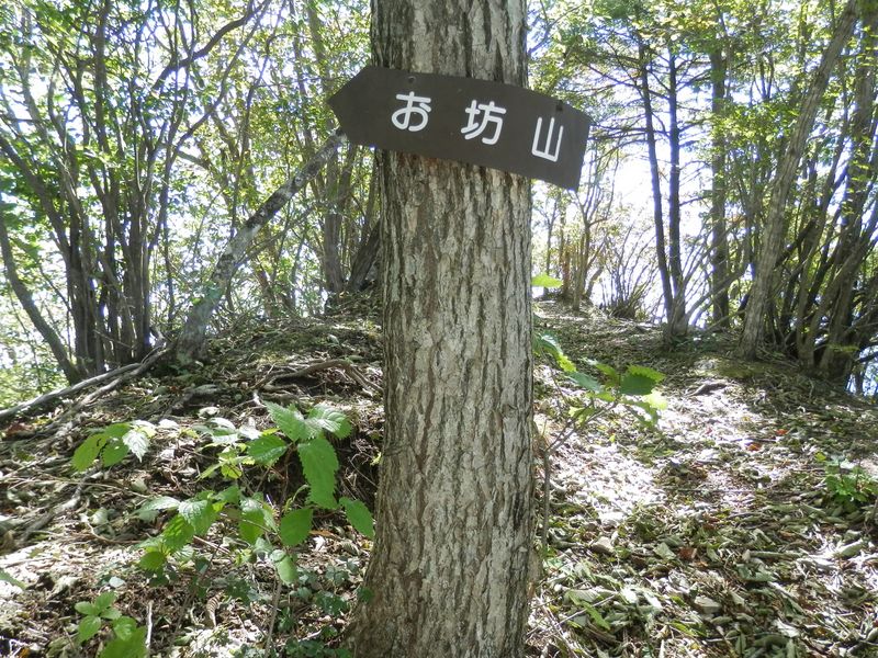 正面に危険な大展望地