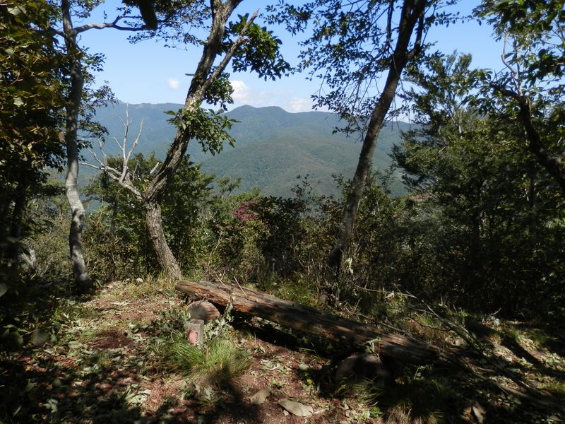 朽ちかけたベンチを右折でお坊山東峰へ