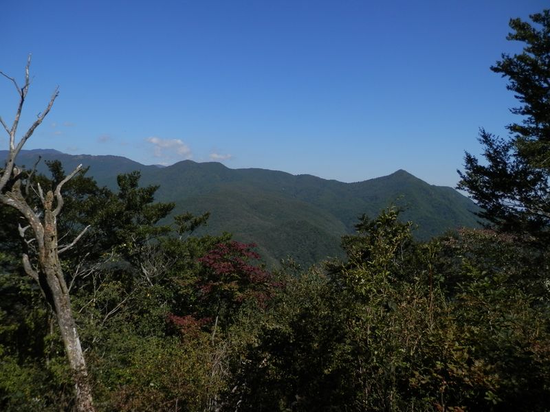 ハマイバ丸から滝子山まで