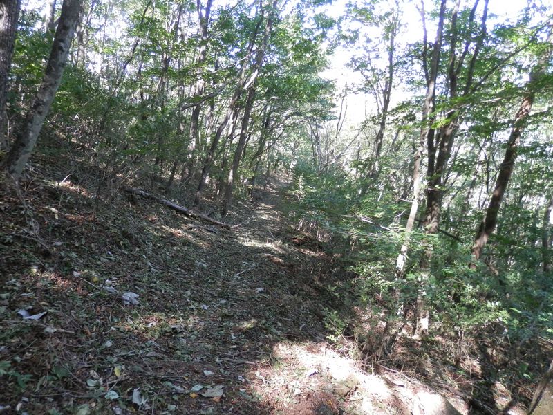 大鹿峠に向かって下る