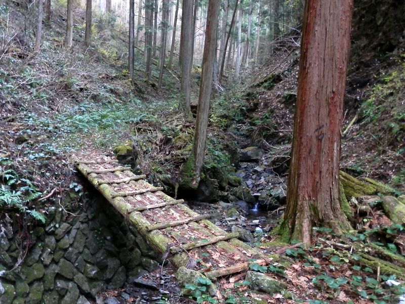 幽山の趣が濃くなる