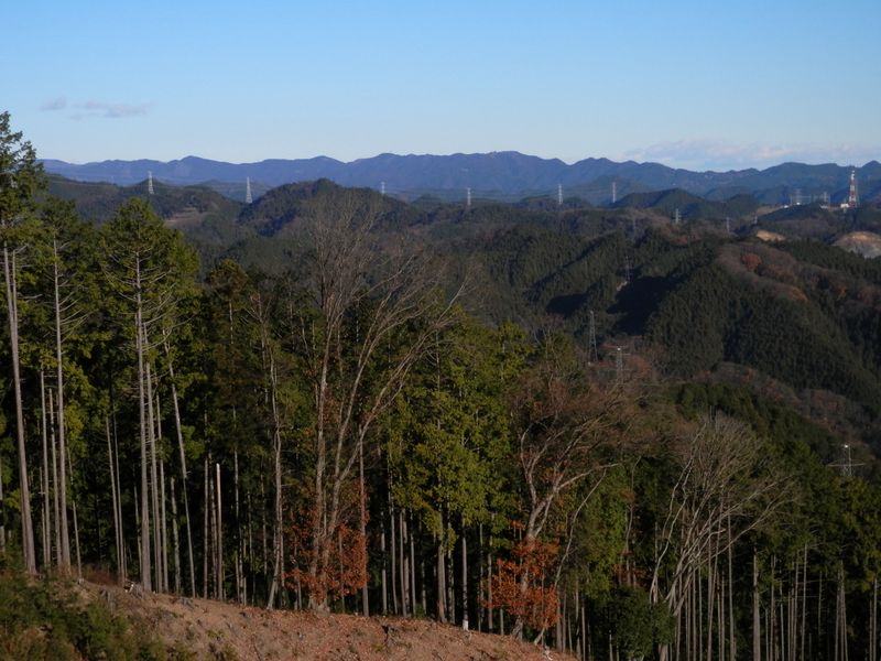 三方山の伐採地より、奥武蔵を望む