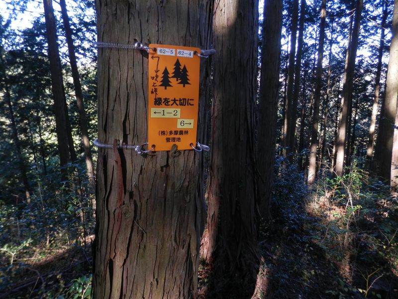 予定していたコースに復帰した