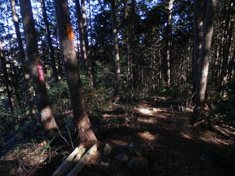 314m峰と基準点 No.57