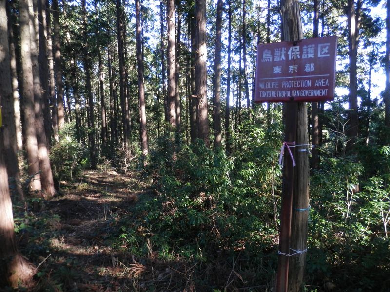 鳥獣保護区の看板の向かって左が吹上峠