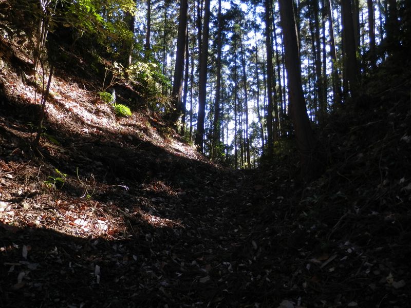 吹上峠にて、南東方向を望む