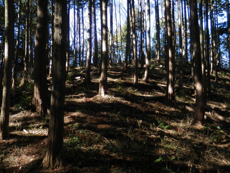 吹上峠の北の310m峰
