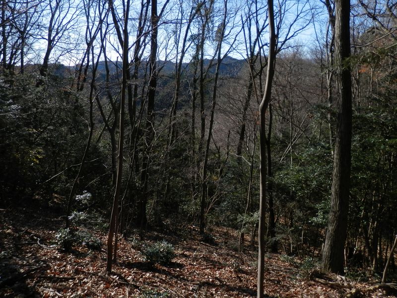 日当たりのよい場所