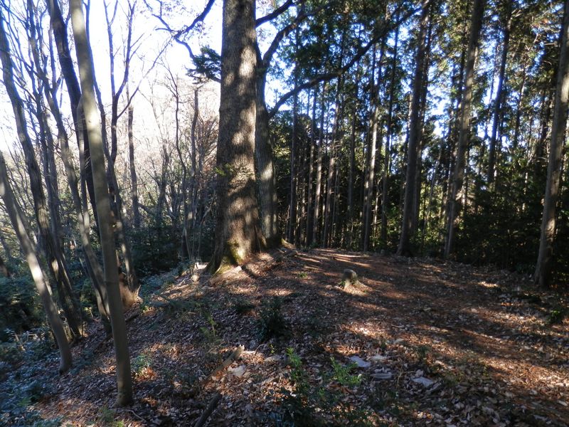 少し開けた場所