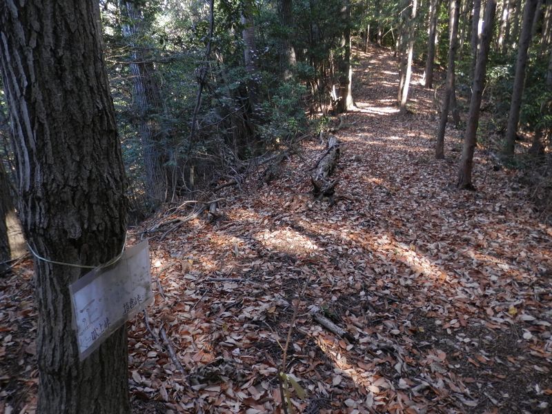 正木沢峠から北方を望む