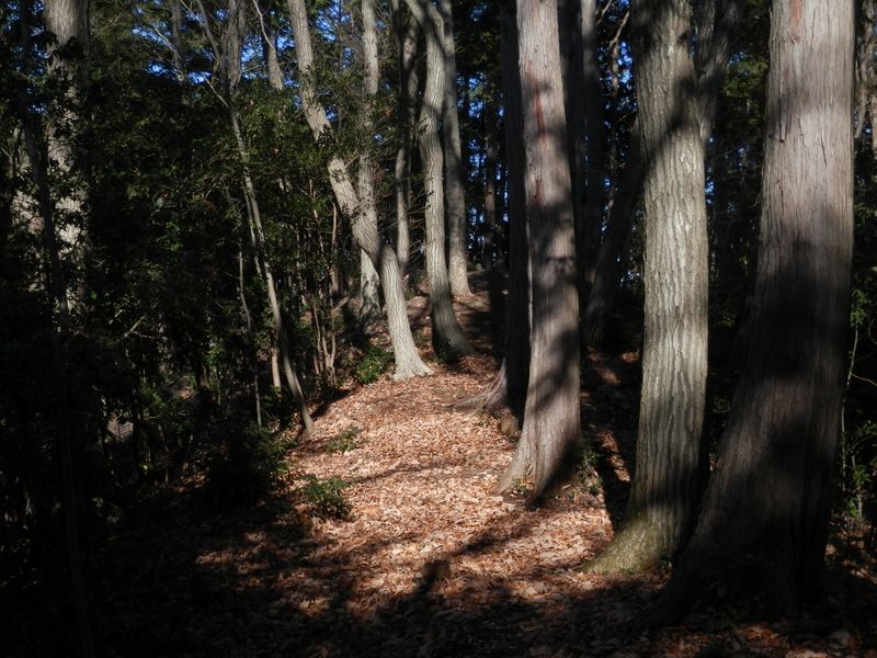 基準点 N0.51の手前