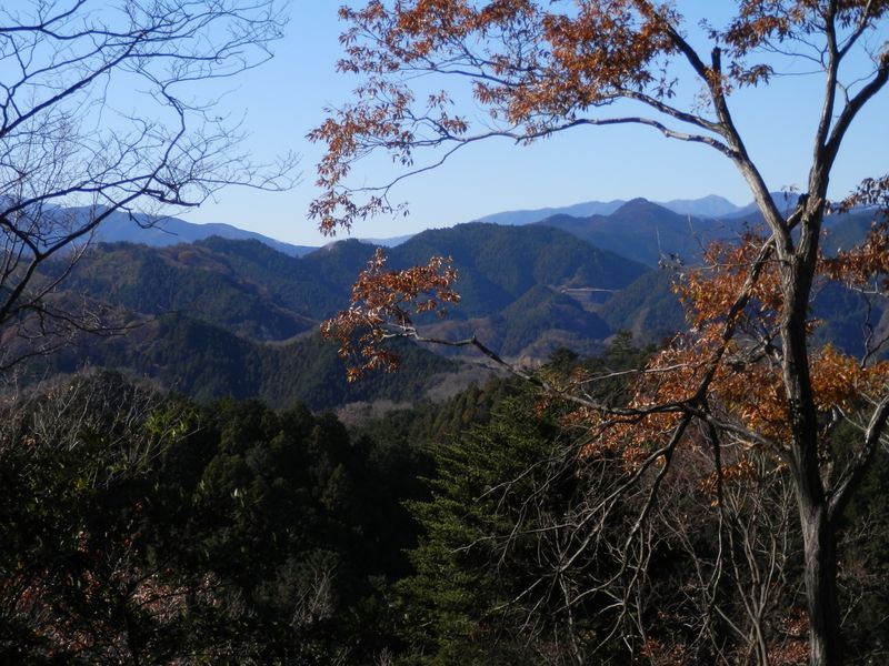 基準点 N0.51からの眺望