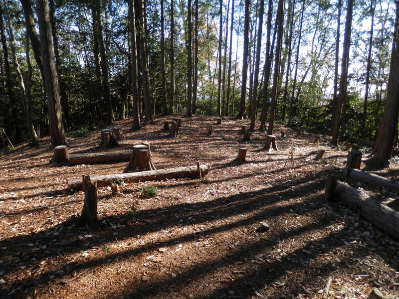 オキジョウゴに到着