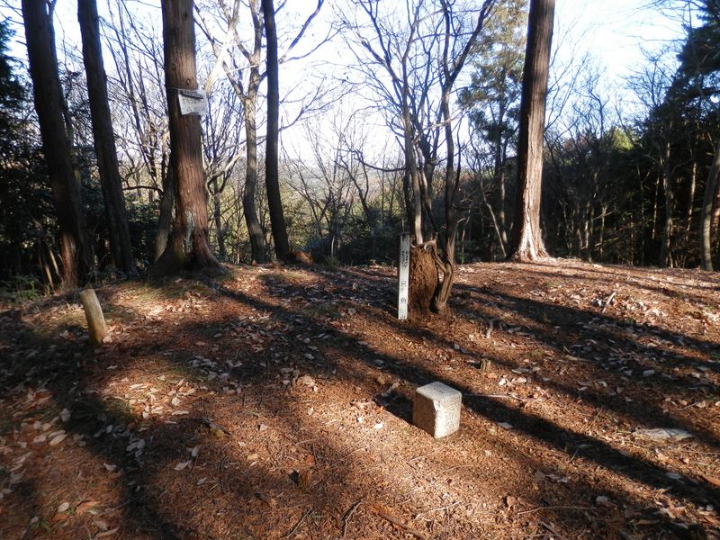 オキジョウゴの三等三角点