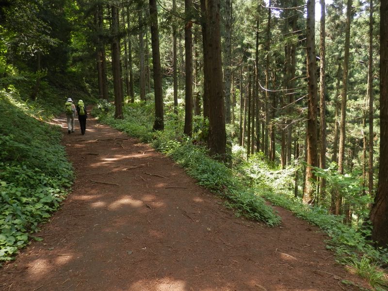 萩原作業道（右）終点