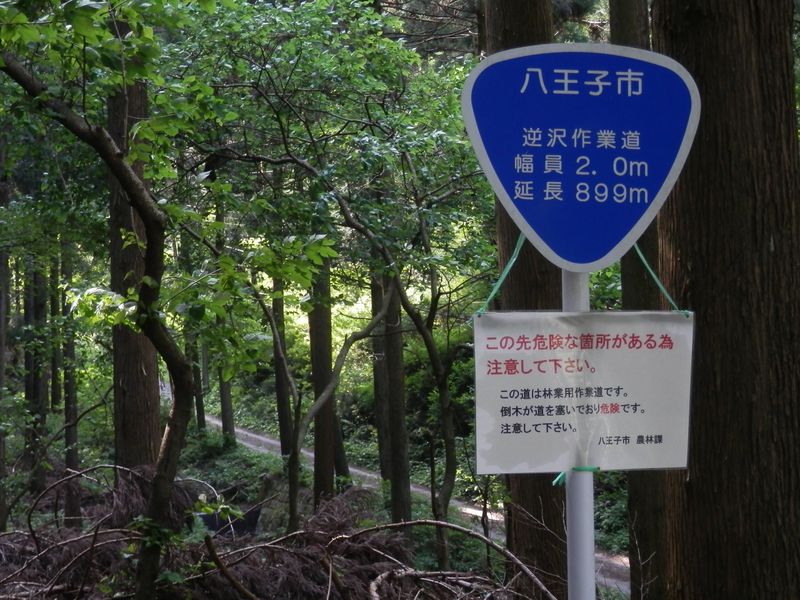 逆沢作業道を下って来た