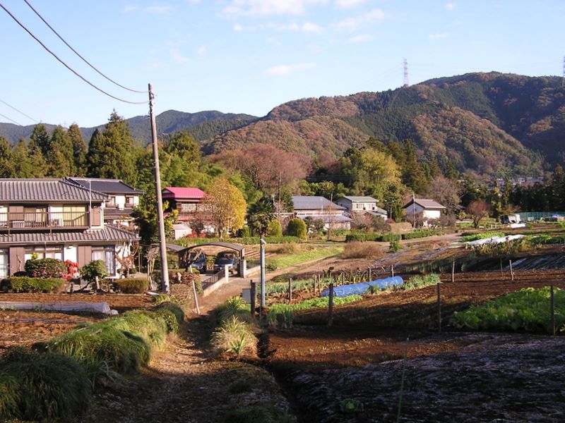 相模湖から城山・高尾山 -- 東海自然歩道を歩く