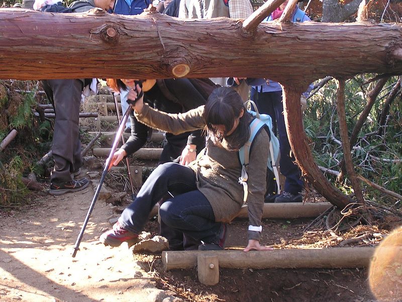 相模湖から城山・高尾山 -- 倒木をくぐる