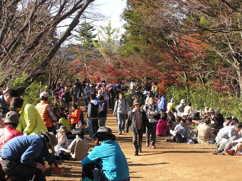 相模湖から城山・高尾山 -- もみじ平