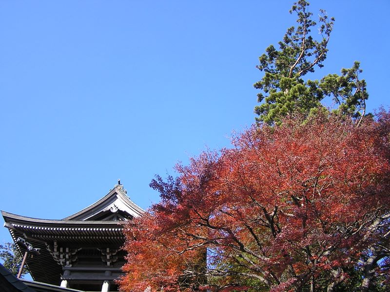 相模湖から城山・高尾山 -- 薬王院4