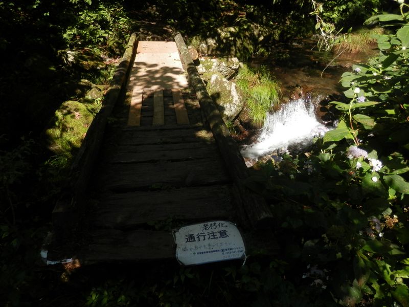 このハシ渡るべからず!?