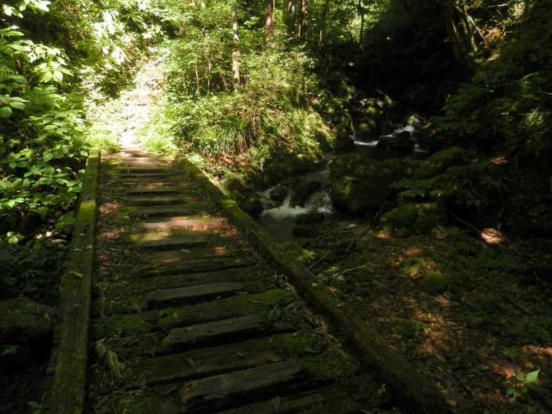 大滝上の木橋