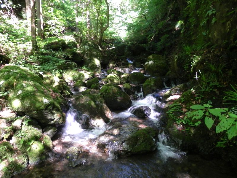 ゴミのない清流