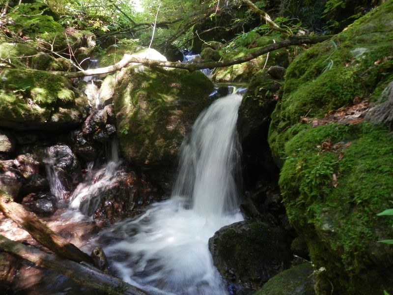 プール遊びとシャワークライムが楽しめる